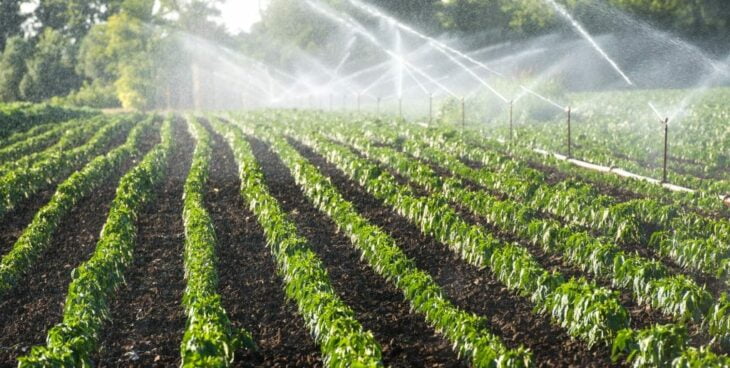 Smart Agriculture Projects Using Raspberry Pi - Sixfab